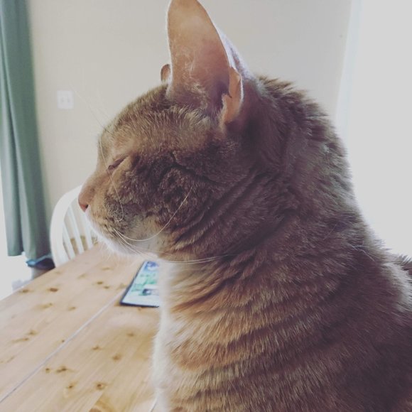 Meet Your Seller - Picture 2 of 6